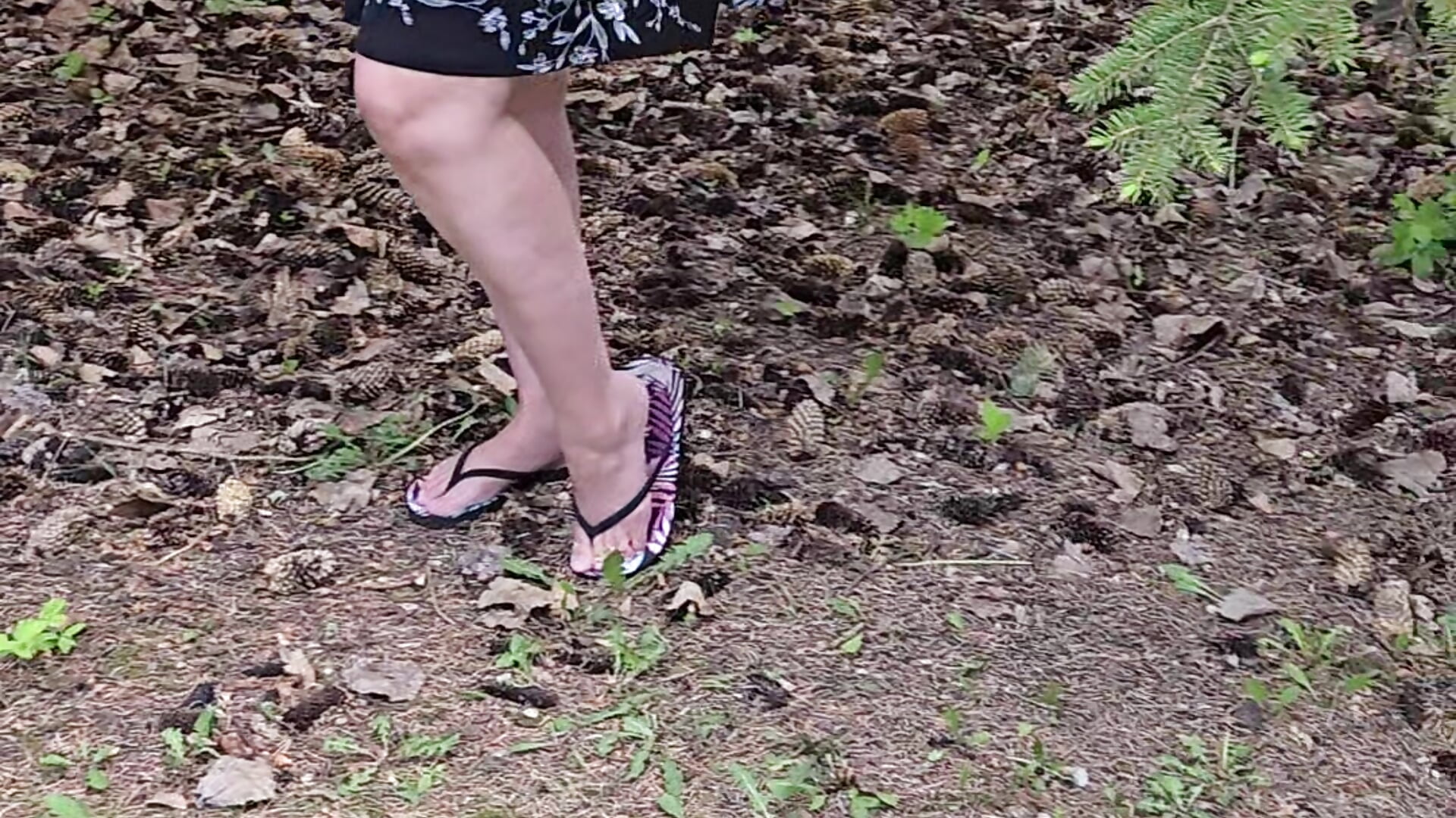 Look Over Here Public Titty Shake