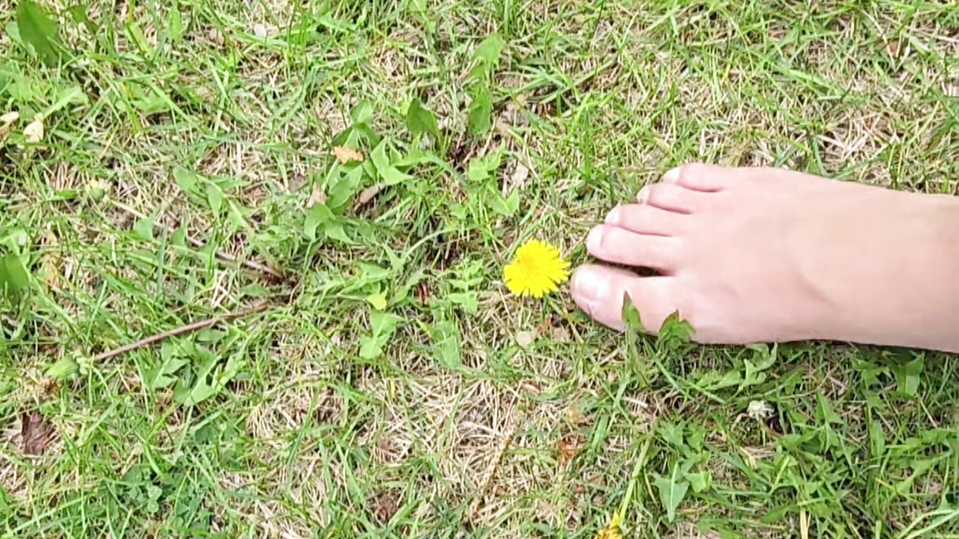 Toe Flower Pluck