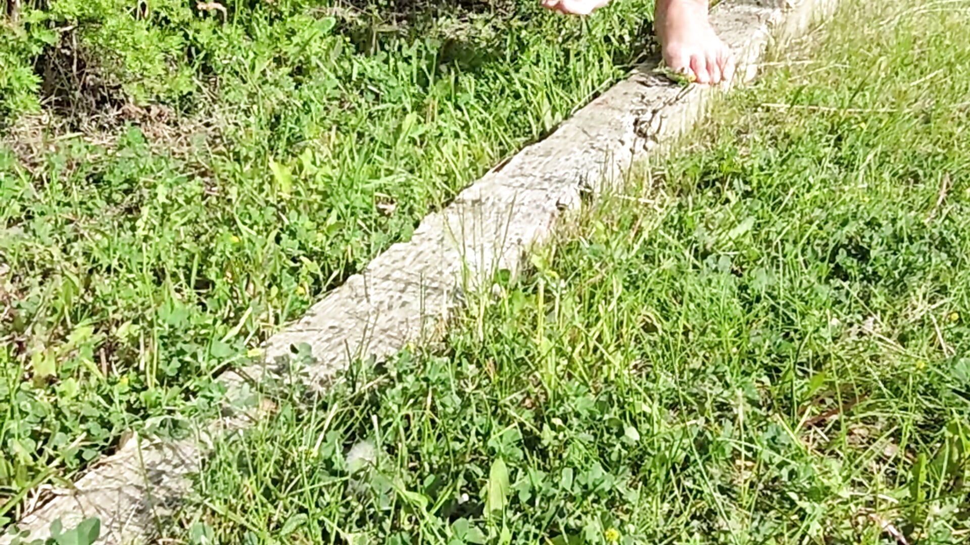 Walking on Wooden Board