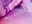 A little squirt to brighten your day senpai - video by seraphine23 cam model