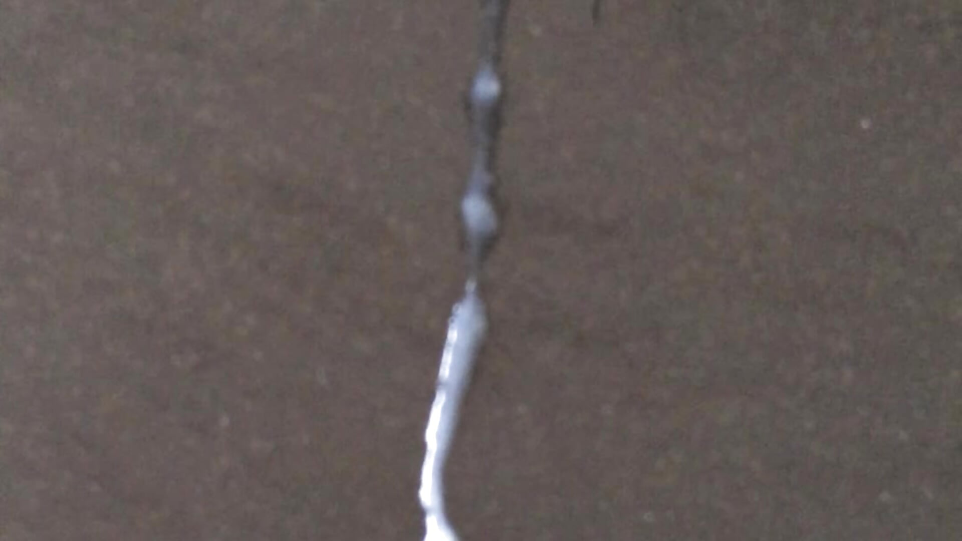 Cum - video by Small_one cam model