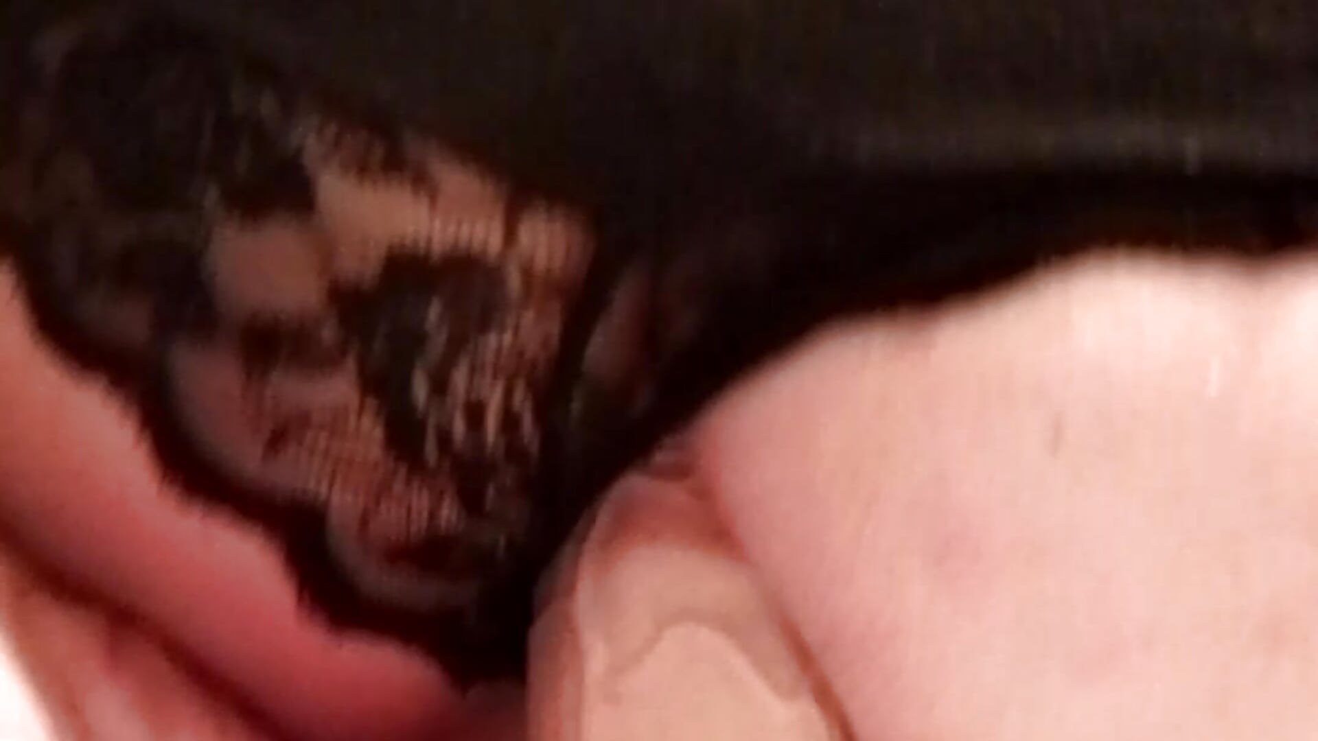 Lili lubi miec w dziurce !!!!!!!!!!! - відео від вебкаммоделі lilianashemale