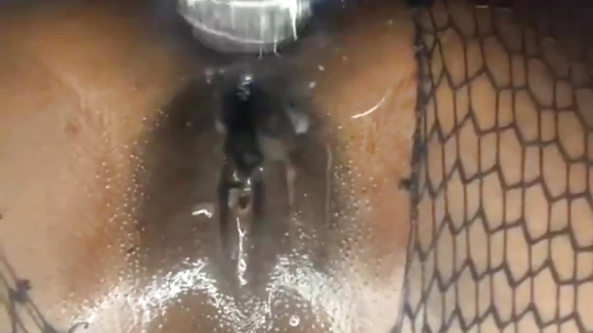 First time anal session - TheBootyWarden 님의 동영상