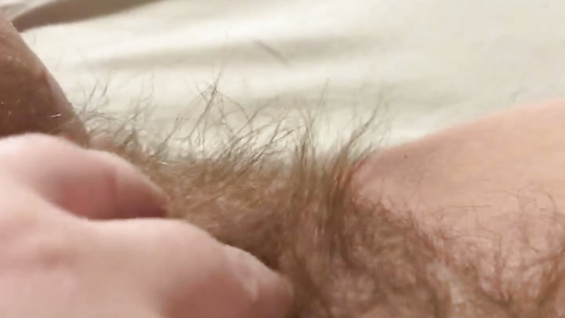 Furry - βίντεο μοντέλου ParisNova