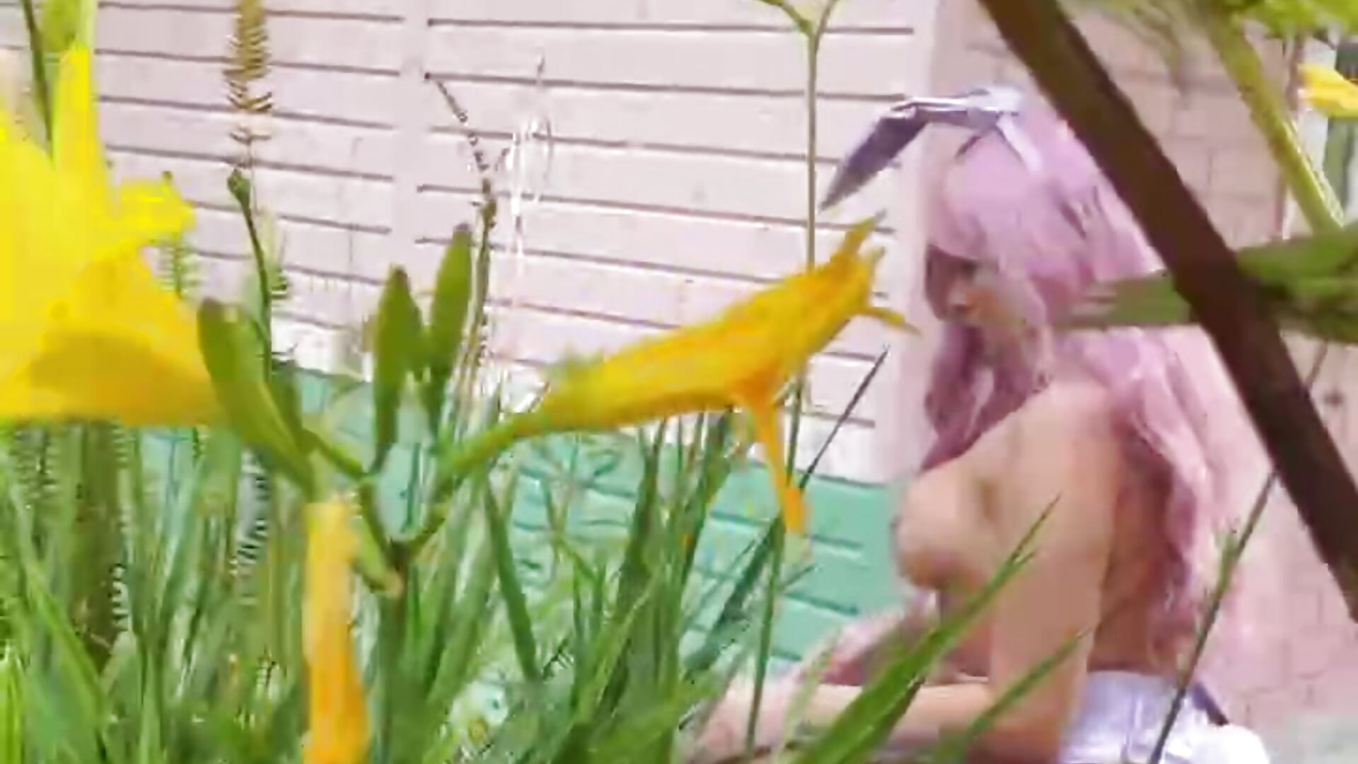 Naughty bunny