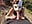 Bj in nature - video by Janemasqueradeporn cam model