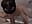 He found me on the tub and we ended up fucking in the shower. - video by Janemasqueradeporn cam model