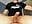 Shooting sperm sitting ⛲ in a T-shirt 👕 - video by Vinsent_Frantlyy cam model