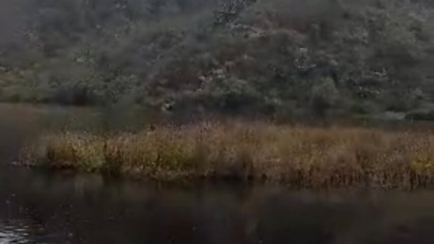 ENJOYING NATURE - video by DarshaKhemu cam model