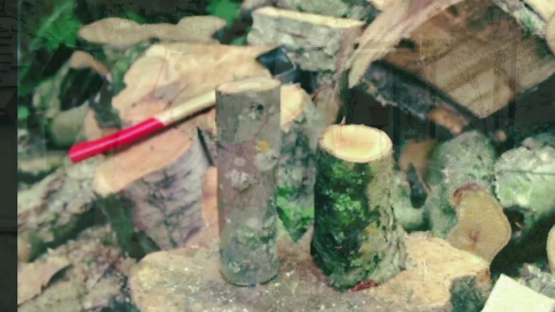 la femme d'un bûcheron s'exhib pour faire bander la forêt : a lumberjack's wife showing off to make - mylissandre 캠 모델의 동영상