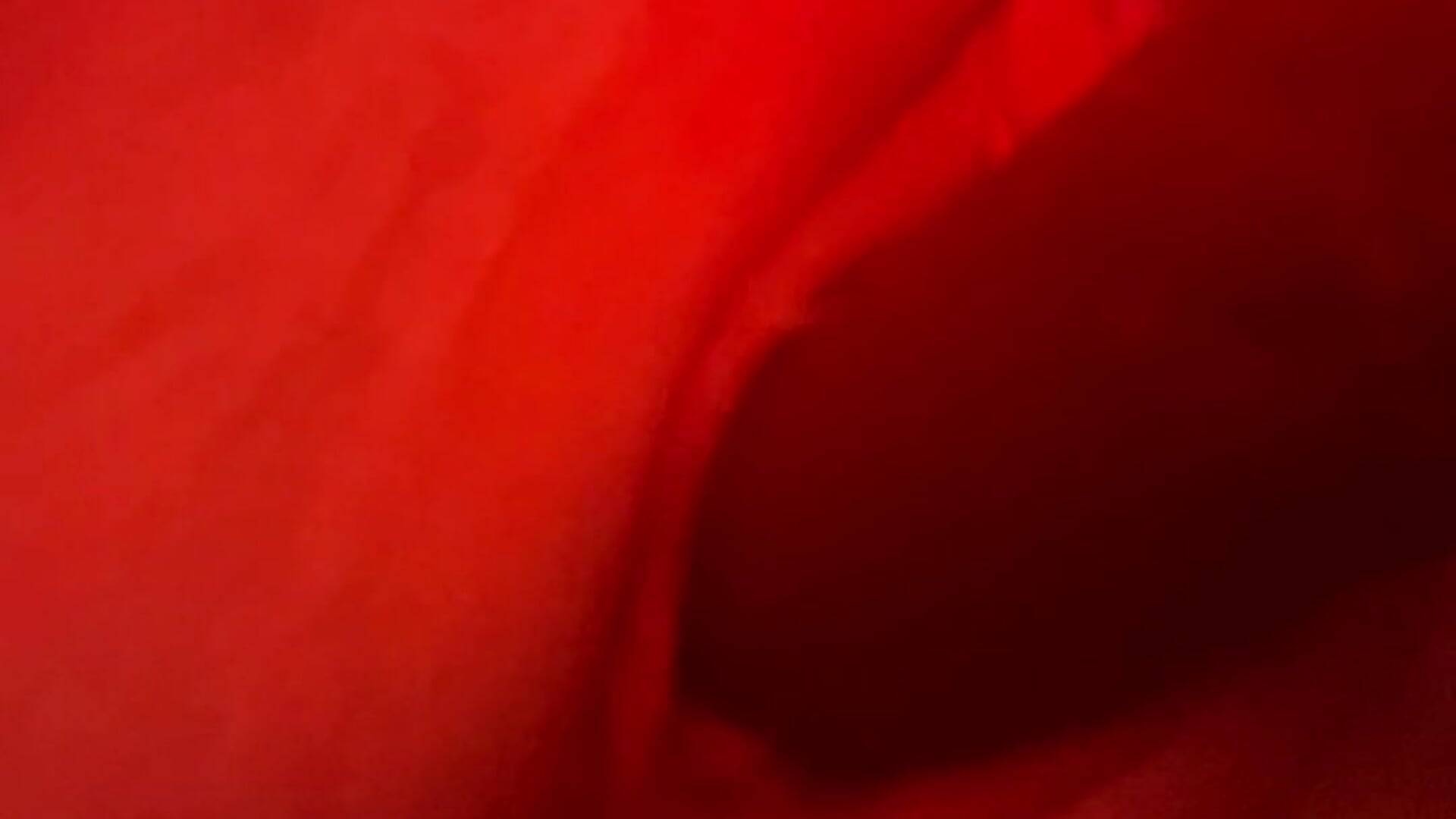 RenderedVideo - video by ToysRus24 cam model