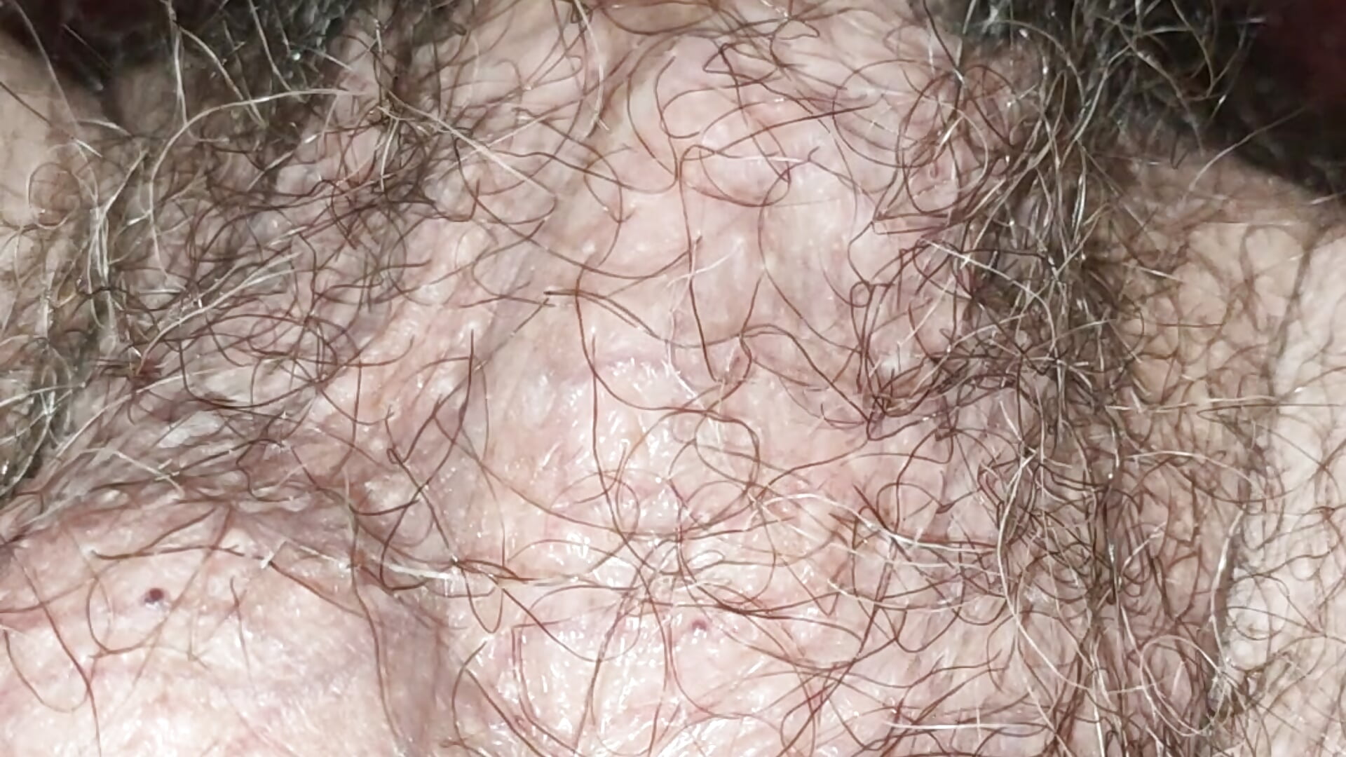 full hairy cock - video by Herba_Mare cam model