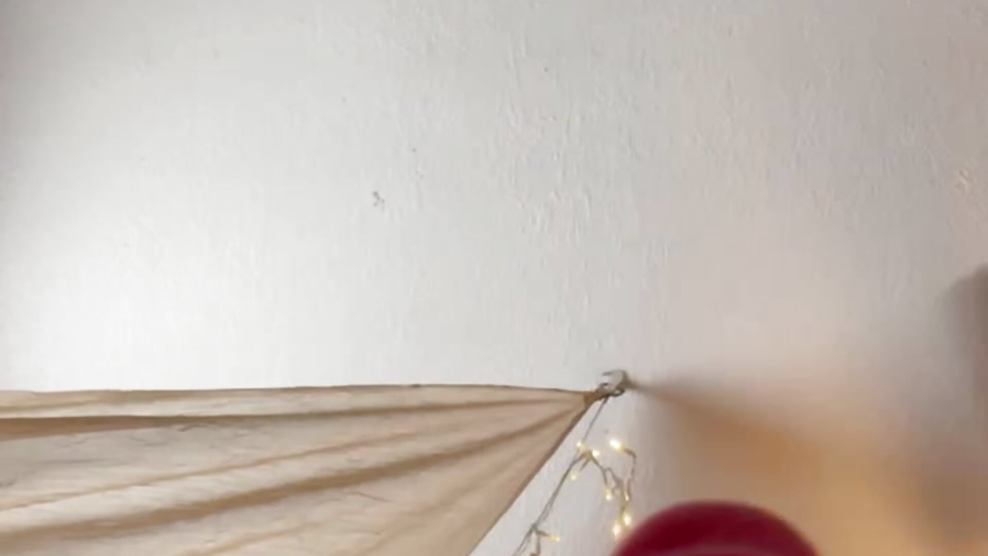 Toes and dildo  #feetfetish with a kiss - video by LovelySubmissive cam model