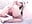 hot holes - video av aroonmilf cam model