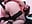 ffuck doggy anal - video av aroonmilf cam model