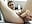 fuck me daddy - video by Musae cam model