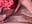 Personal: Watch my bf eat my perfect pussy 👅💦 - clip cu HEARTBREAKBRE