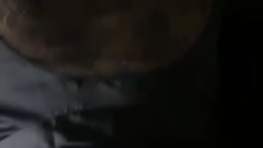 He Fuck Me Doggy