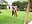 Caminando naked - video by sexi_noemi cam model