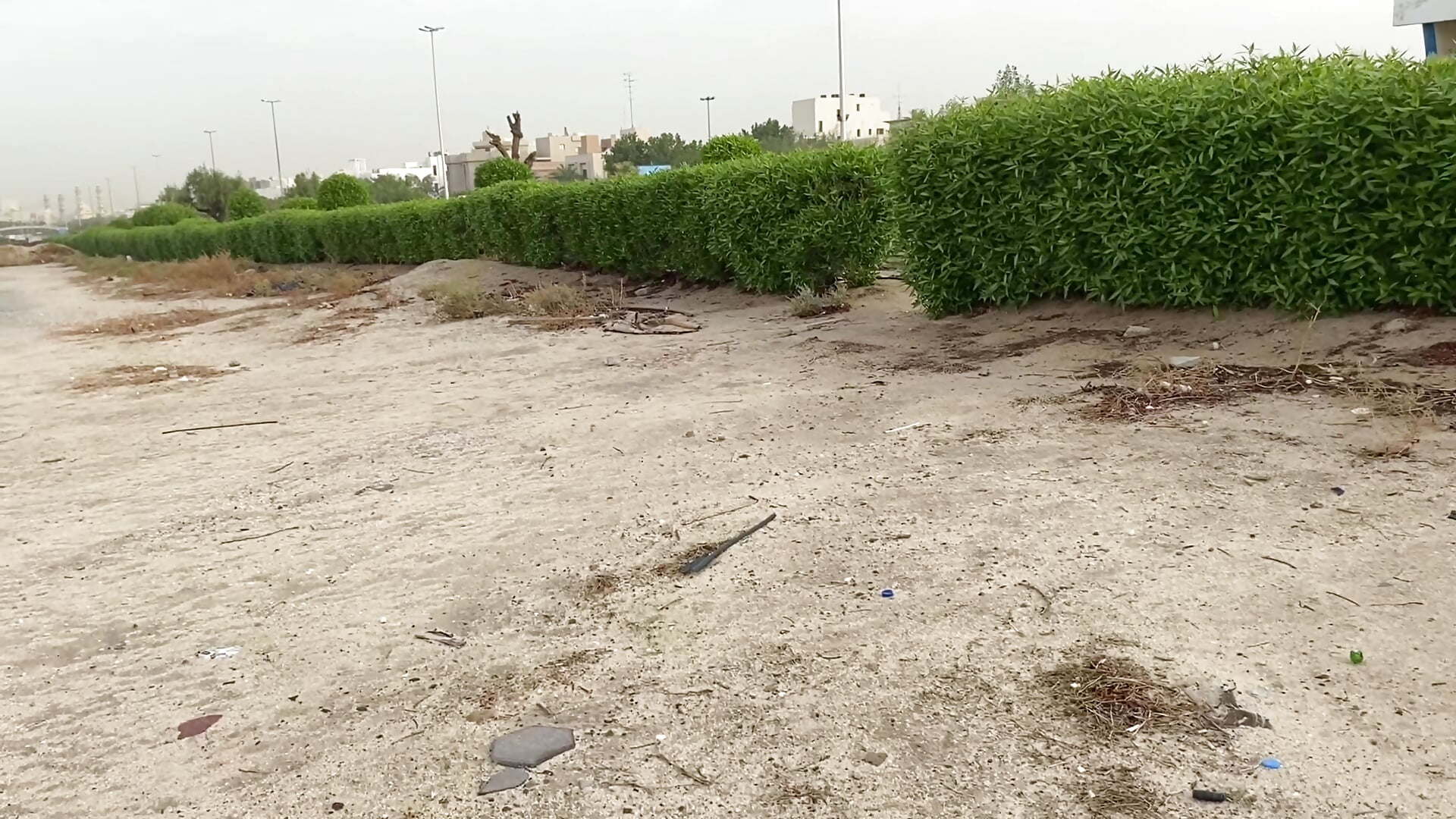 Risky public cock flashing – video od webkamerové modelky Park-JeiSun