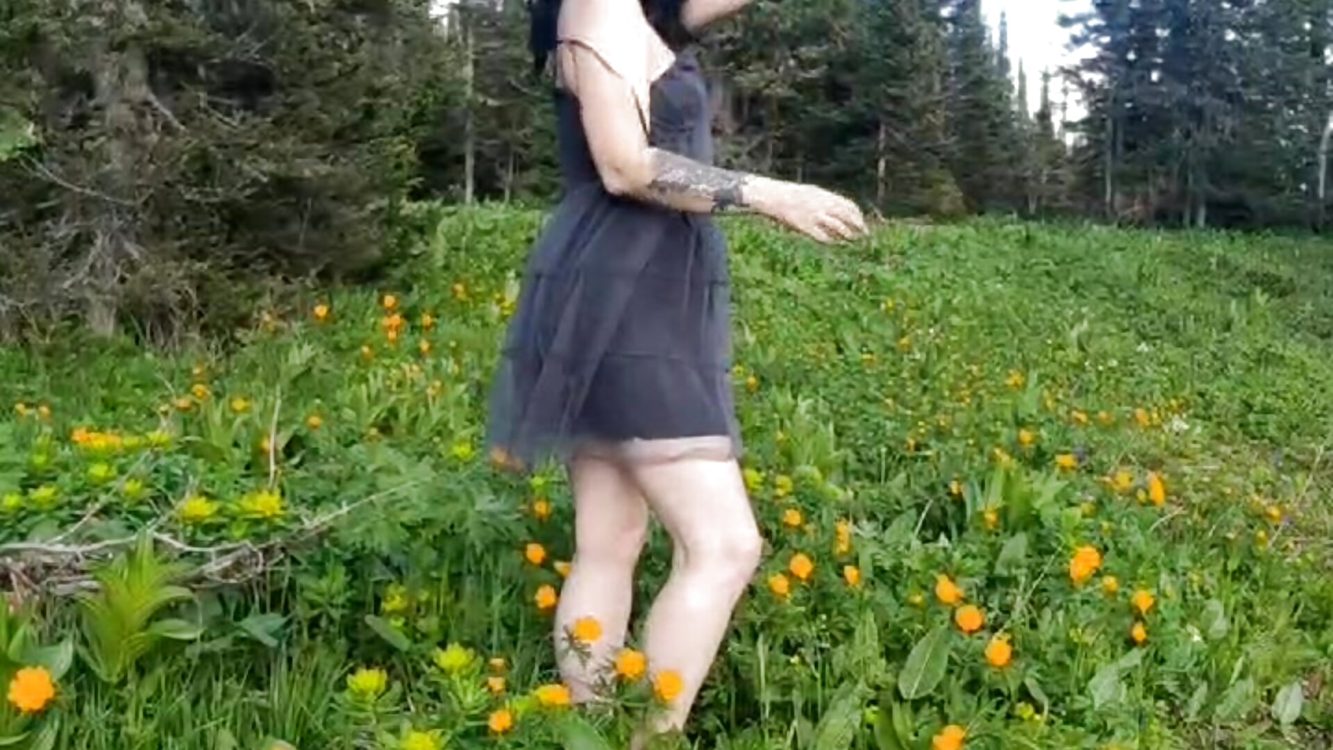 Mischief in the forest