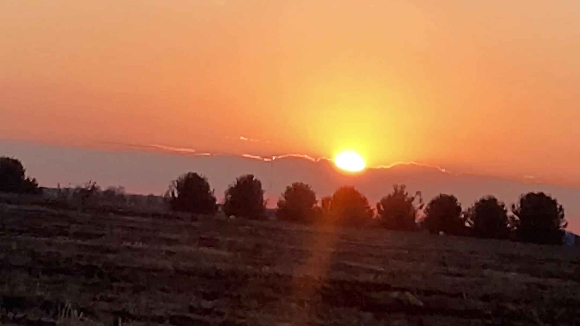 IMG_3185 - video by duggan12 cam model