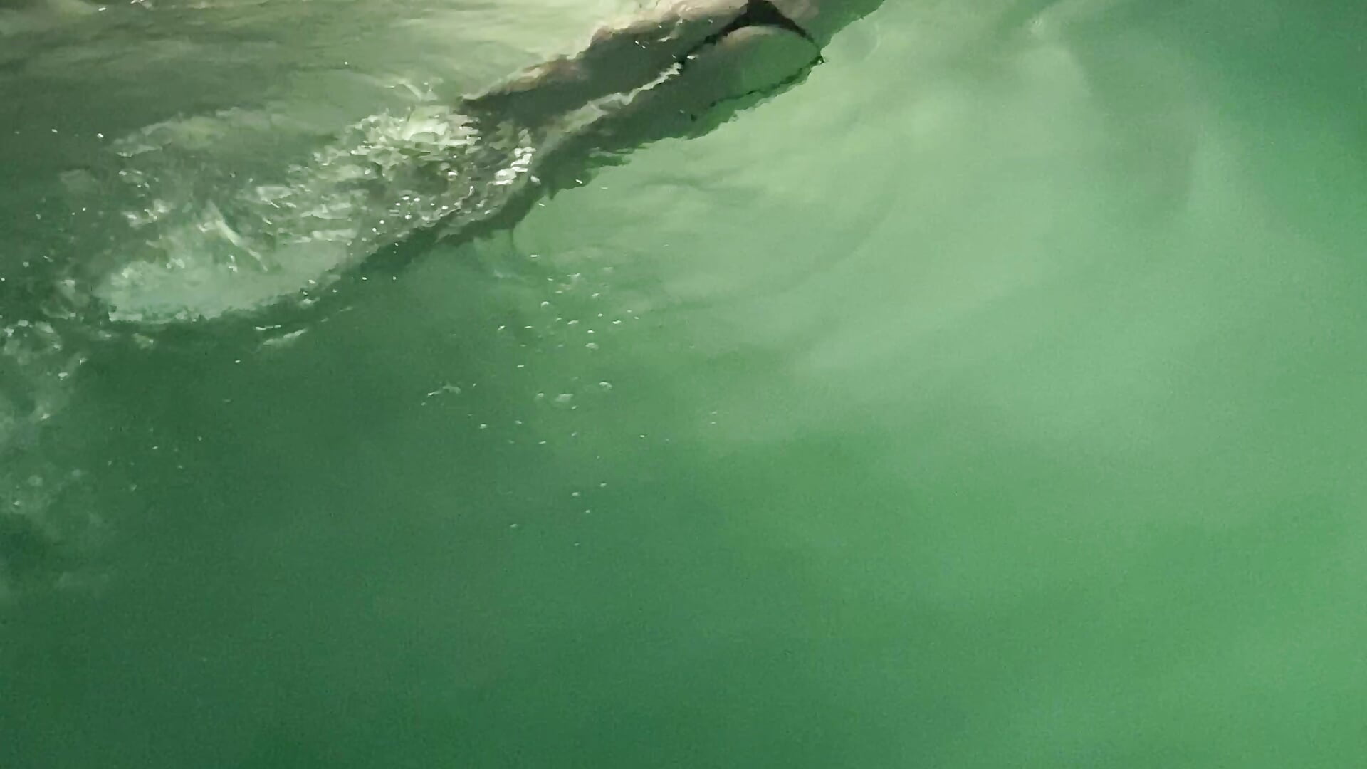 in the pool 💧💧💧 - A_kerry__ adlı kamera modelinin videosu