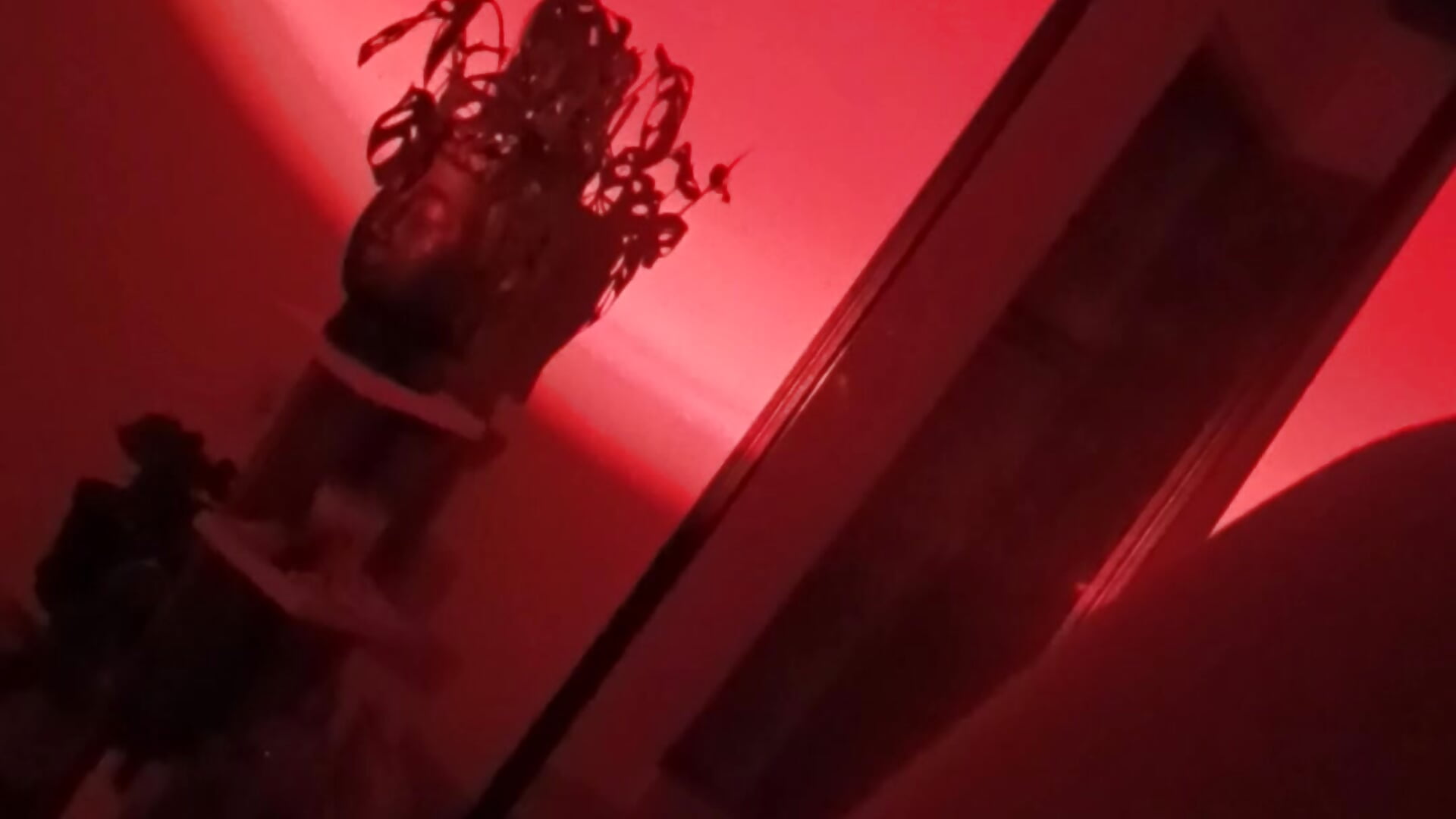 ❤️❤️❤️ – video od webkamerové modelky Lepetit_Nath