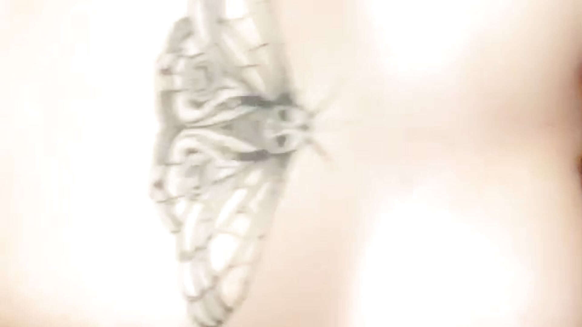 just me <3 - vídeo de PixieDiamond
