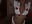 naughty nurse video - video di yourmorningwakeupcall