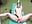 fuck me in the garden - video by Abby_Sweet1_ cam model