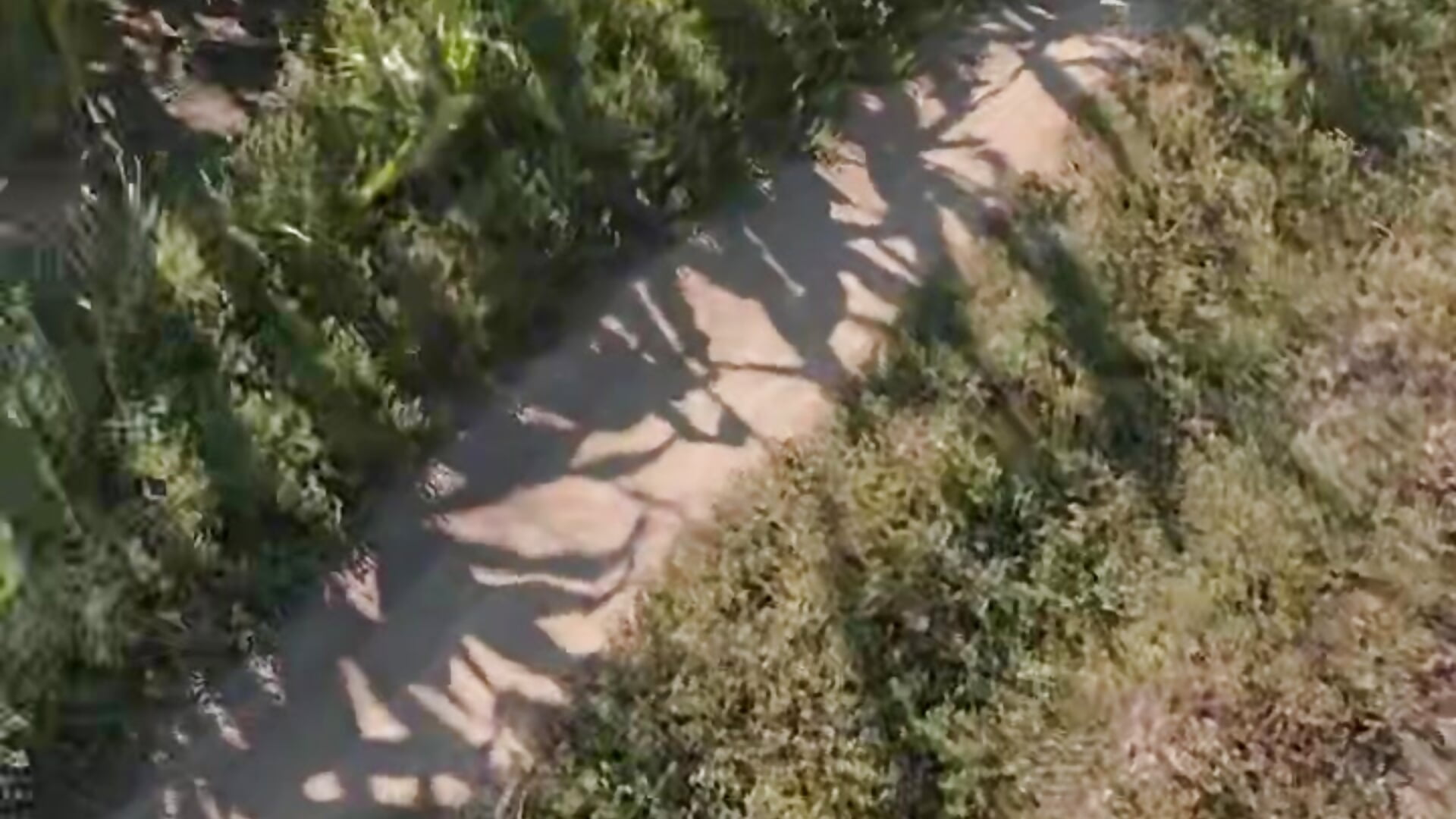 My biggest hobby <3 - video by remirann_ cam model