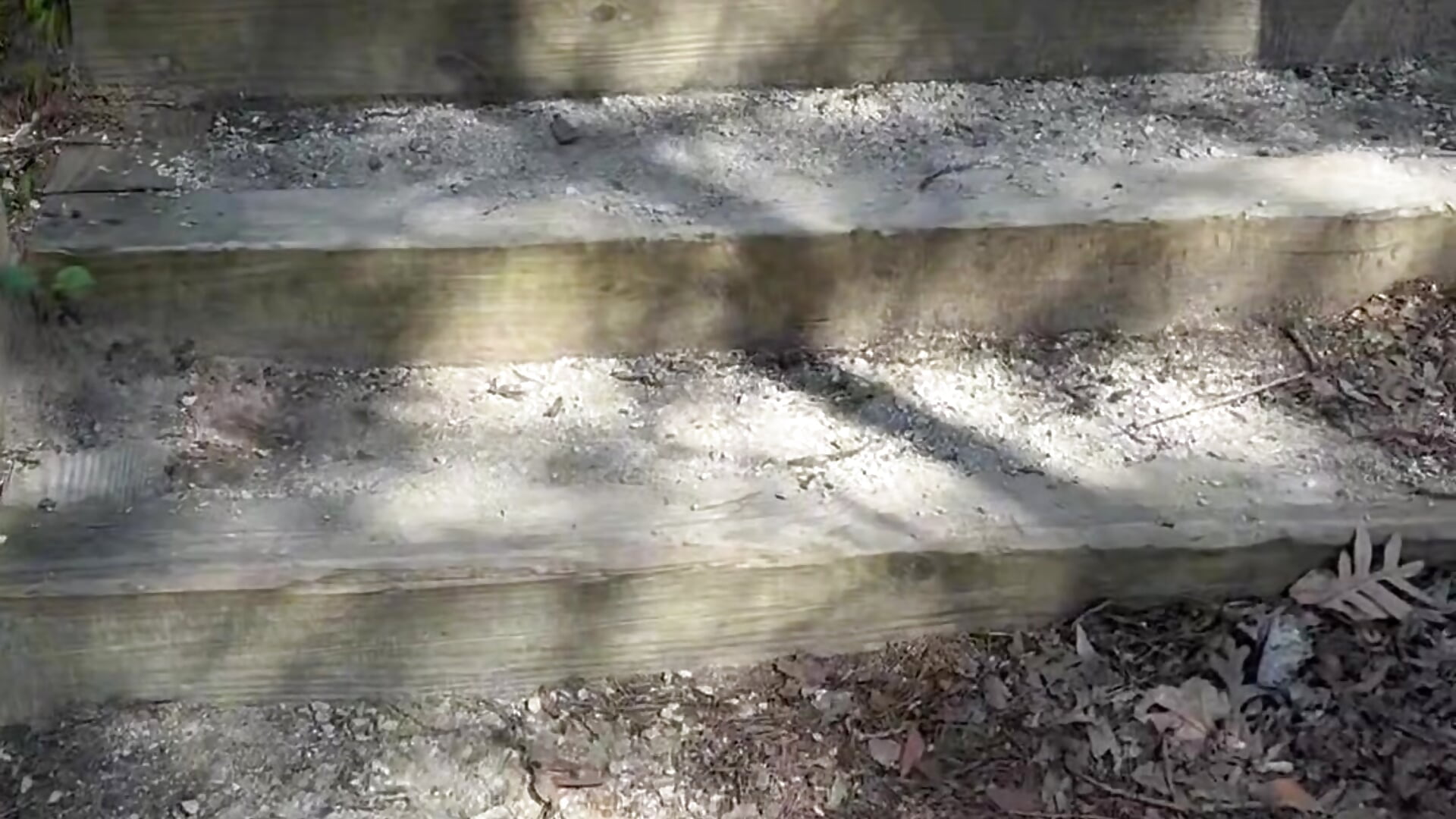 Appreciating the beauty around me - วิดีโอโดย ursluttygf โมเดลแคม