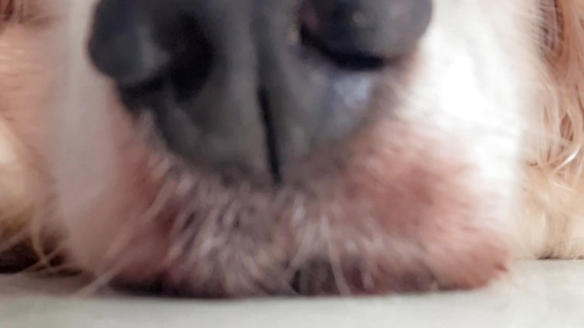 20240509_132137.mp4 - فيديو من Natashariley1 موديل الكام