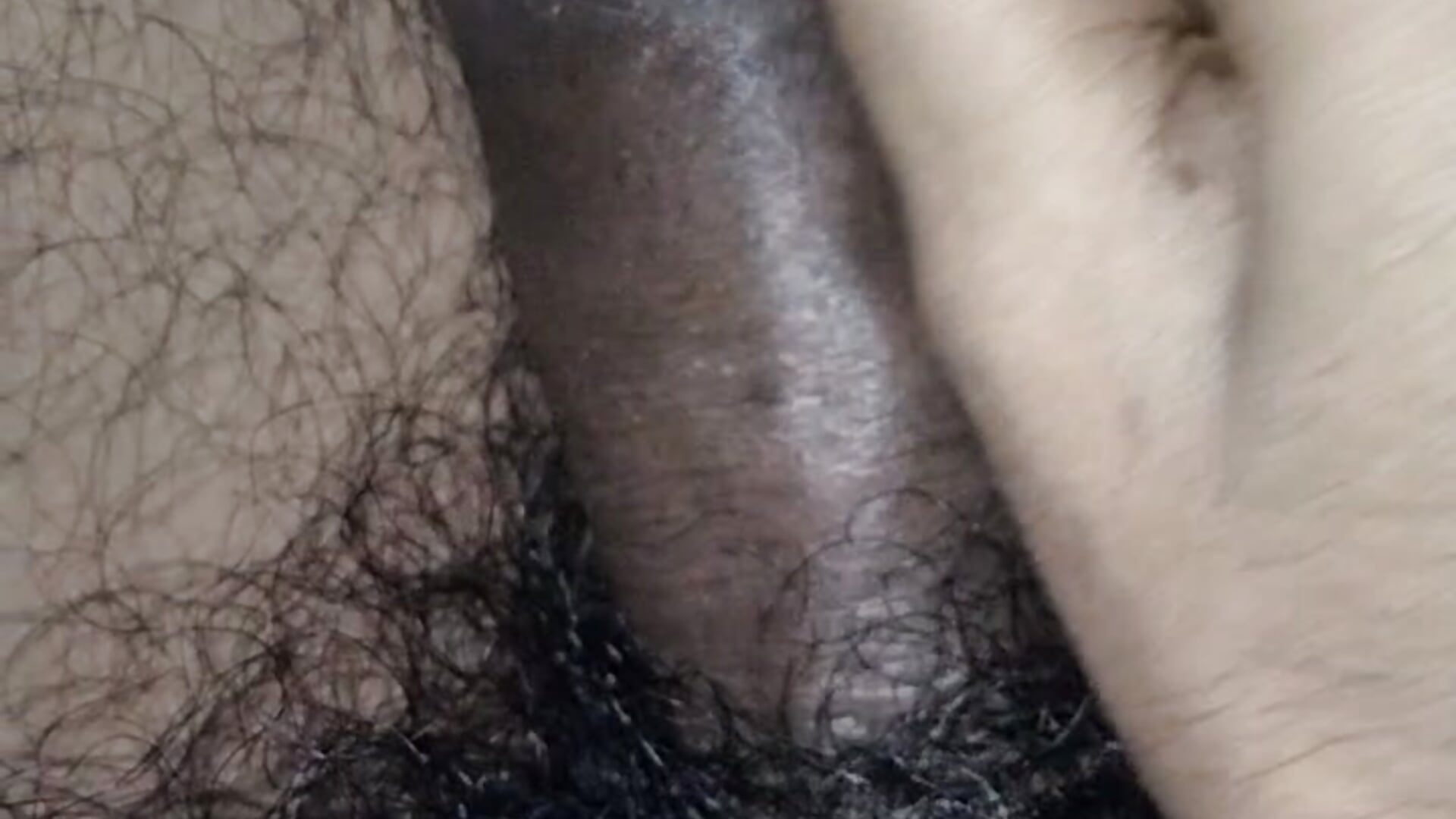 my big hairy cock jerking