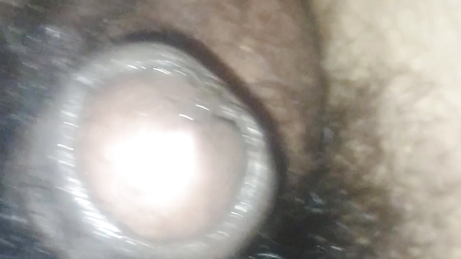 my hairy cock jerking soft to hard with precum