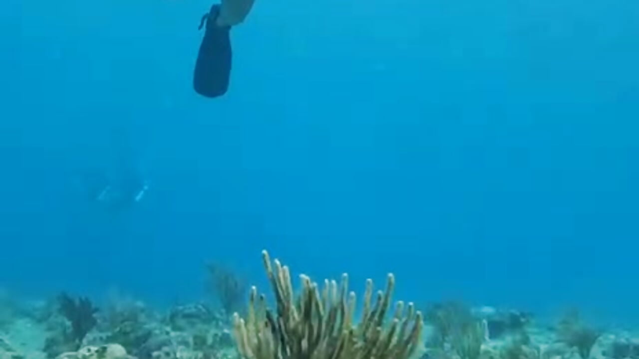 My diving - video by natasha_grey_04 cam model