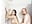 having fun in the shower - Vídeo de HARPER-SEVEN