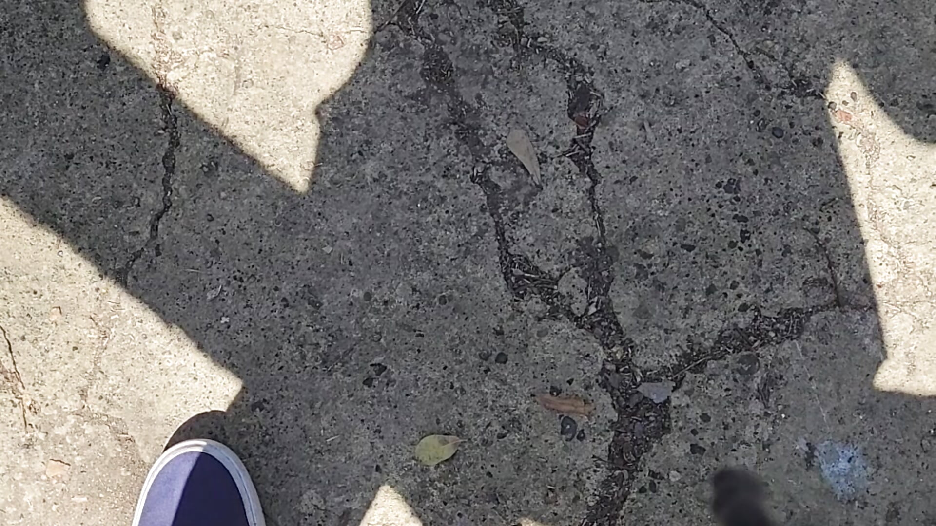 Nasty