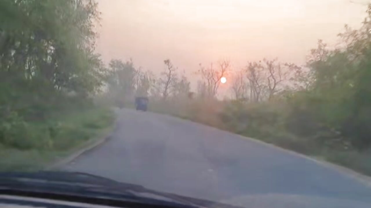 1000042348– honbok kameramodell videója