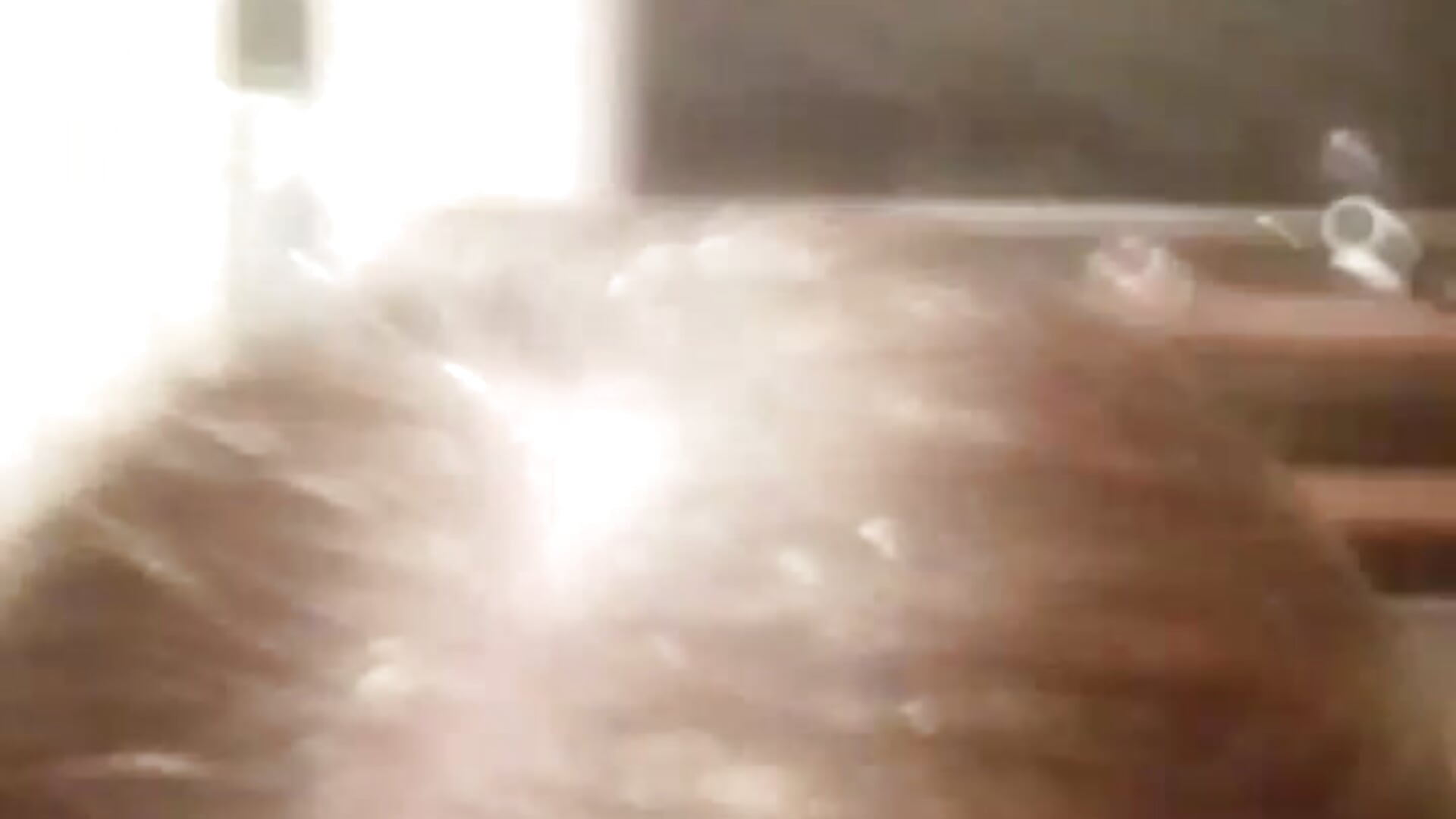 Blow job - video by niceone888 cam model