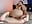 playing with my ass - video van Gabriieela_ cam-model