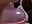 Pussy Pumpe Fingern - video by newMichelle cam model