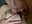 tittenspiele - video by newMichelle cam model