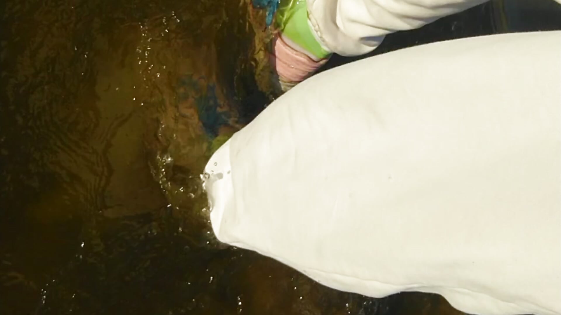 Swimming in lake wearing blue top and white pants - video by Alexa_Cosmic cam model