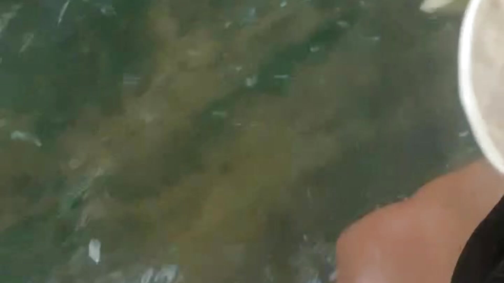 Wetlook adventure. Video 1 of 4 - video by Alexa_Cosmic cam model