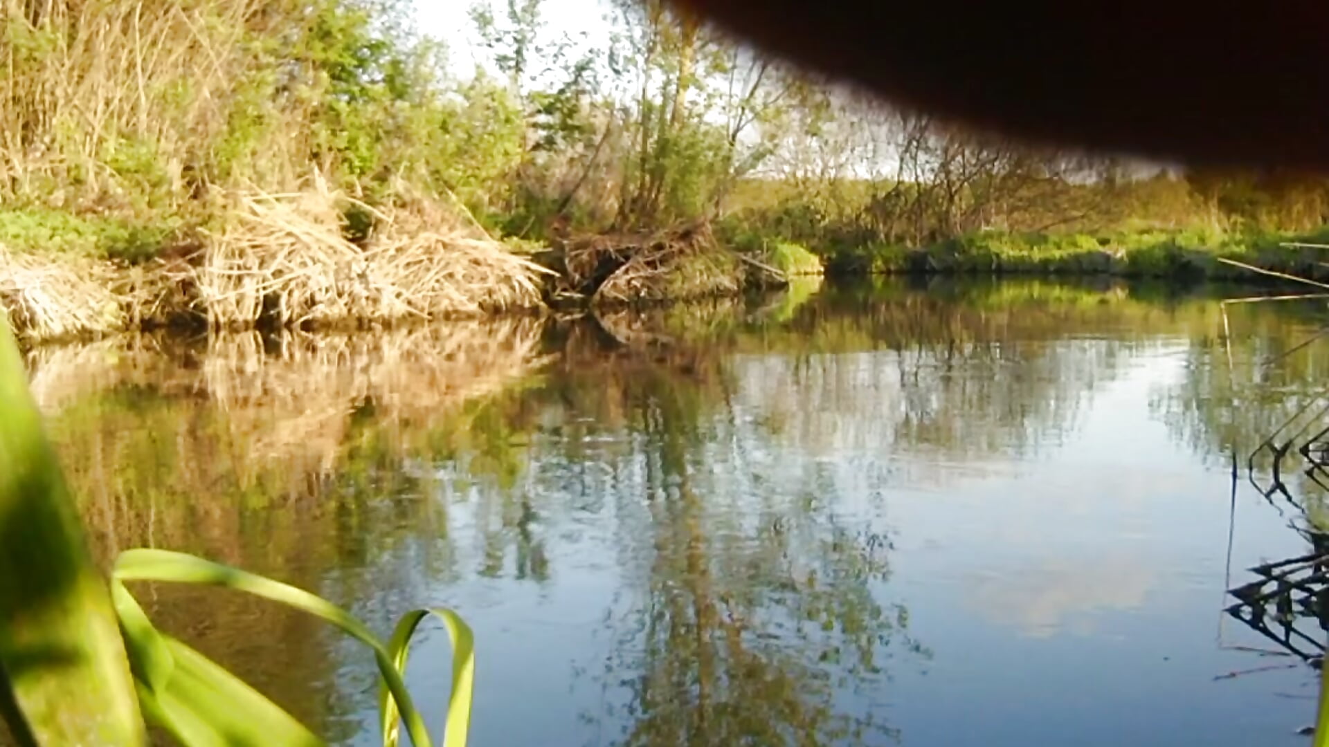 Swimming in jeans and shirt in river on sunset. 16 May 2023. Part 1. - video by Alexa_Cosmic cam model