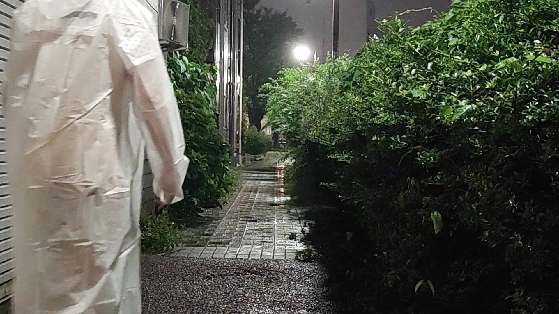 露 - video của người mẫu cam lioncake1221