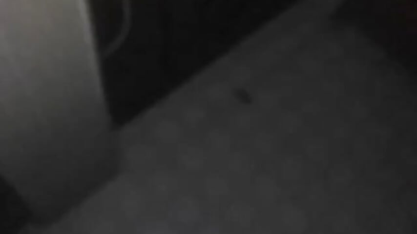 3beee18a-208d-49fd-9155-b4432883192b-1_all_2195 - vidéo du modèle de showcams 8bitdick420