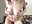naked dancing - video by _whiteprincess cam model